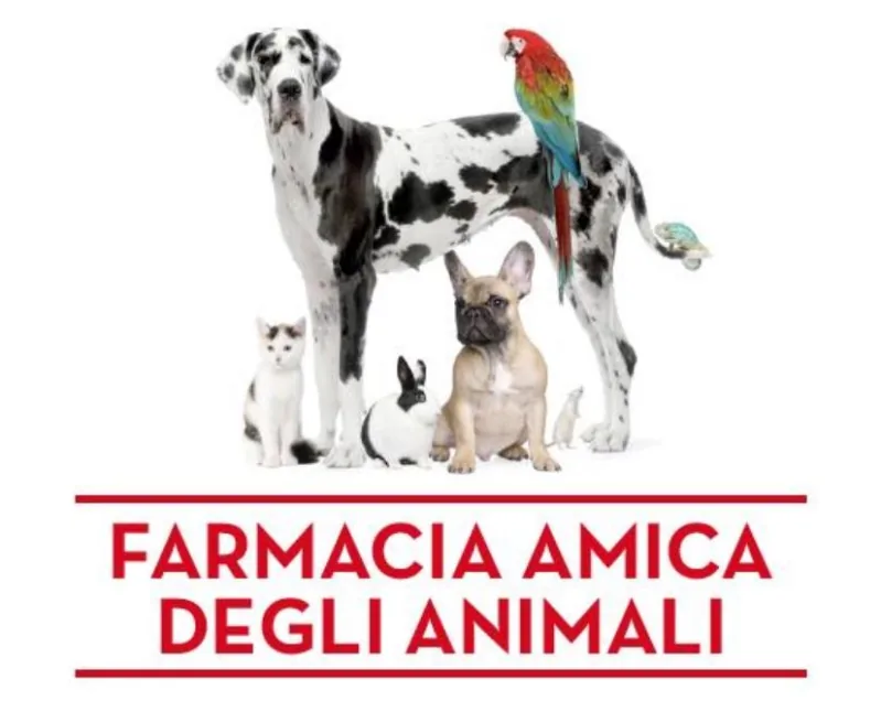 Farmacia Dinnella