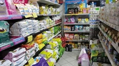 Zoovet - Pets e Green Shop